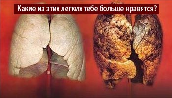 hookah-smoking.jpg