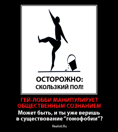 демотиватор гомосексуалисты скольский пол