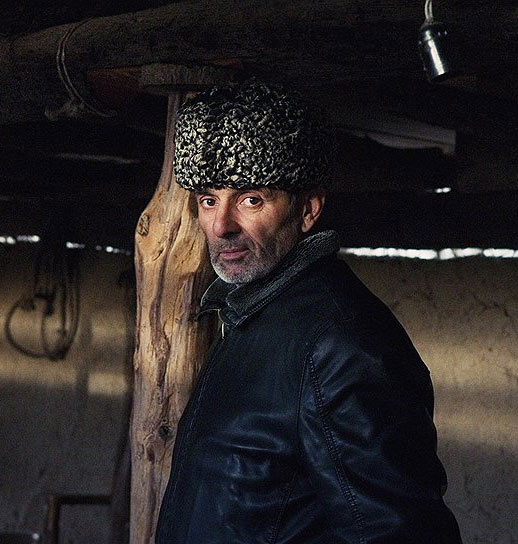 убивает ли чеснок паразитов в организме человека убивает ли чеснок паразитов в организме человека